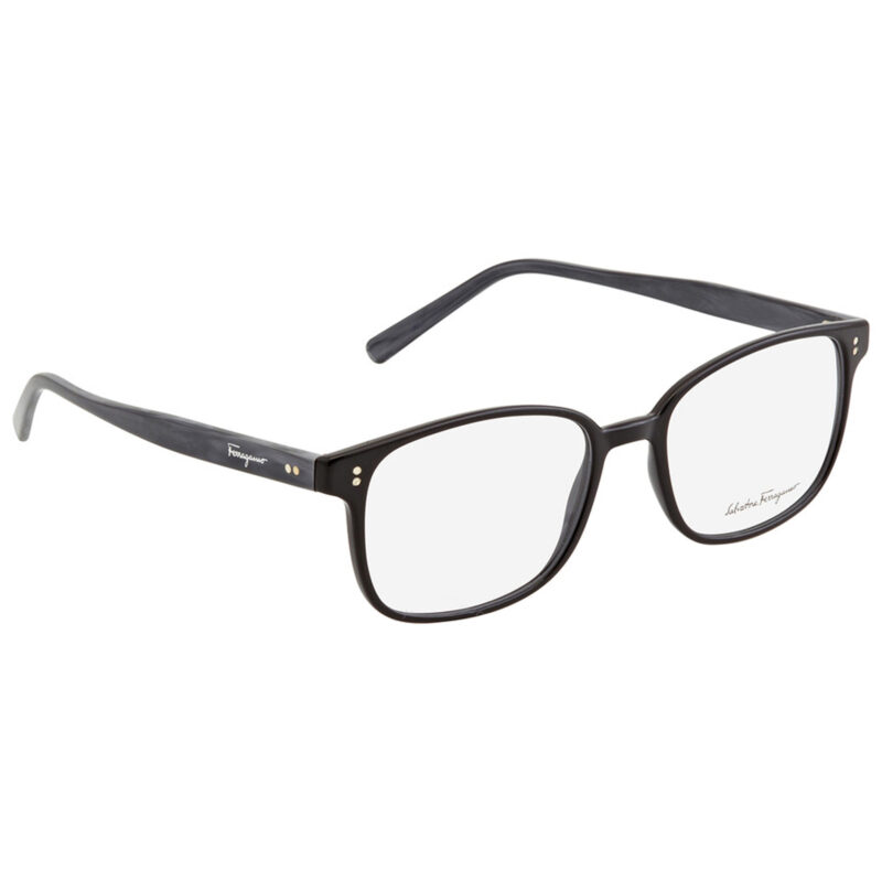 Salvatore Ferragamo Eyewear SF2915 004 | Maxvision