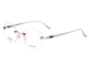 Safilo Eyewear LENTE02 010 4919