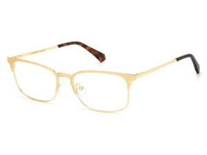 Polaroid Core Eyewear PLD D441 0J5G 00