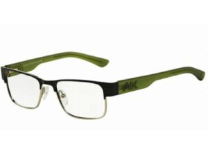 Armani Exchange Eyewear AX1012 6045