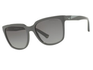 Emporio Armani Sunglasses 0EA4070 55