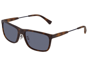 Emporio Armani Sunglasses 0EA4151F 50892V