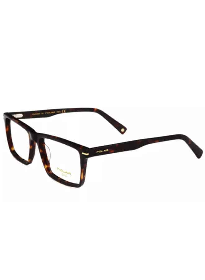 Polar Eyewear Gold 16 428