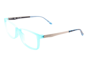 Police Eyewear VPL259 3GRG