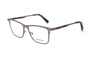 Salvatore Ferragamo Eyewear SF2165 200