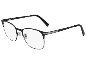 Salvatore Ferragamo Eyewear SF2191 976