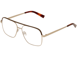 Salvatore Ferragamo Eyewear SF2199L 734