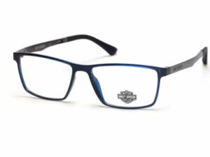 Harley Davidson Eyewear HD0794 090